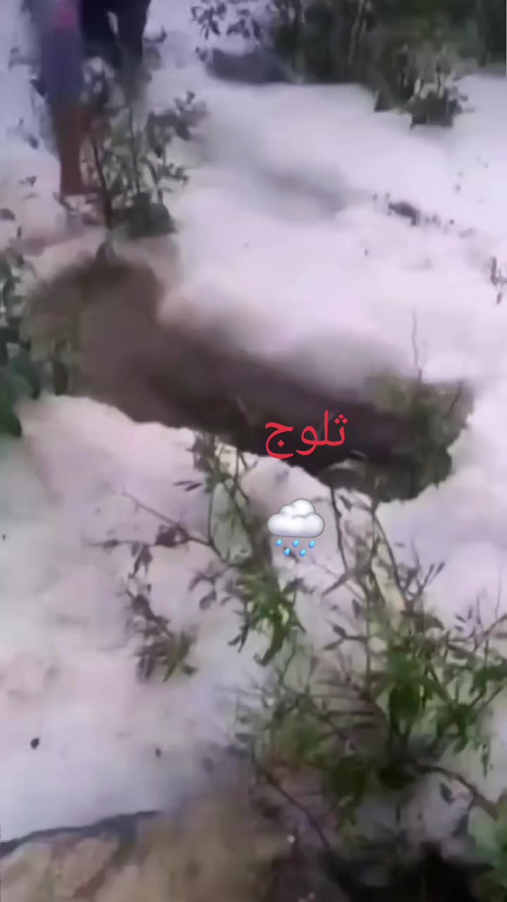 @خالد شرقاني