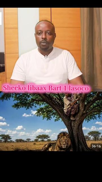 @CIISE GALMUDUG📸TV📺JAXAF JXAF