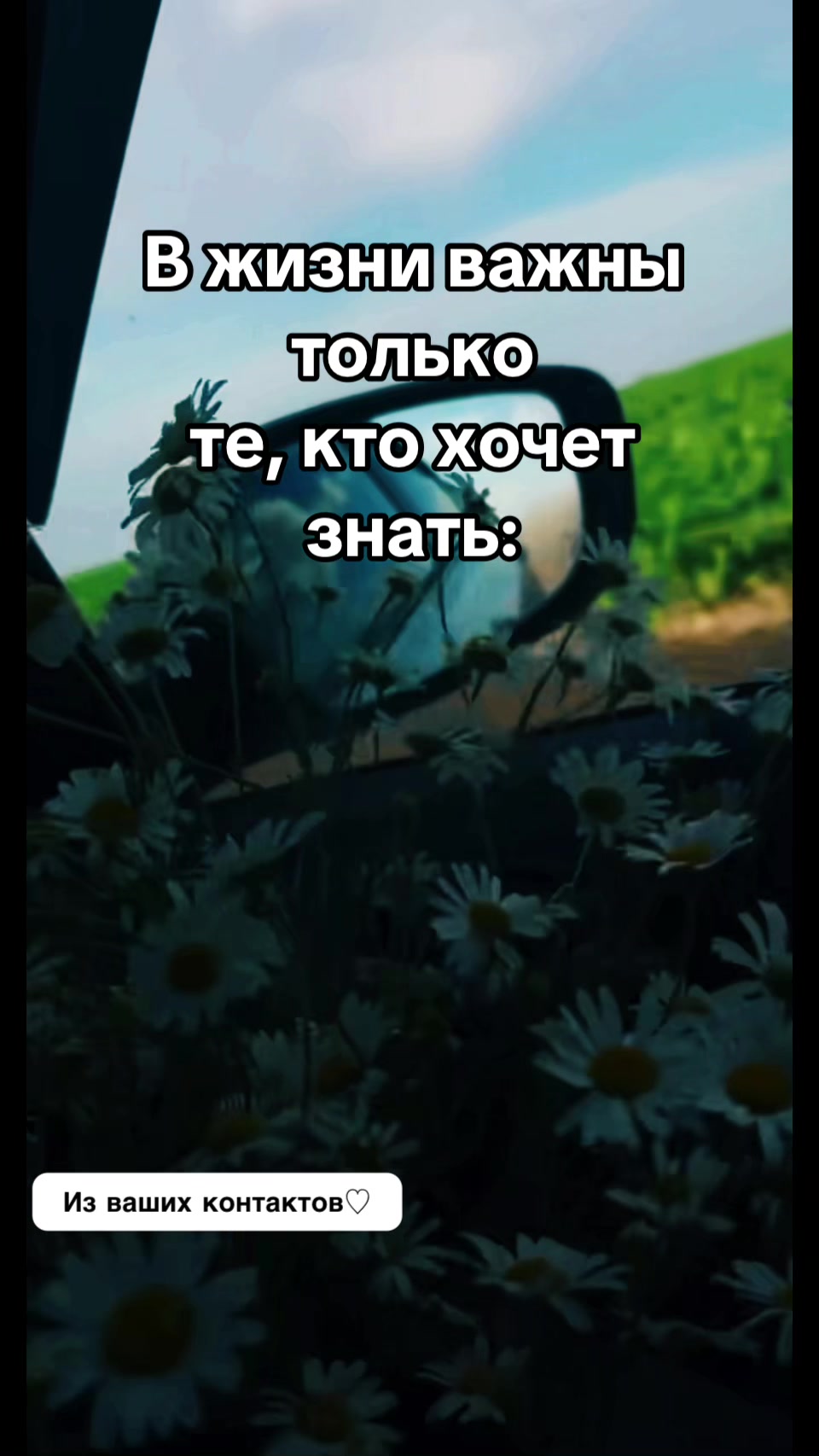 @- Вредный Ангел -😇 🖤