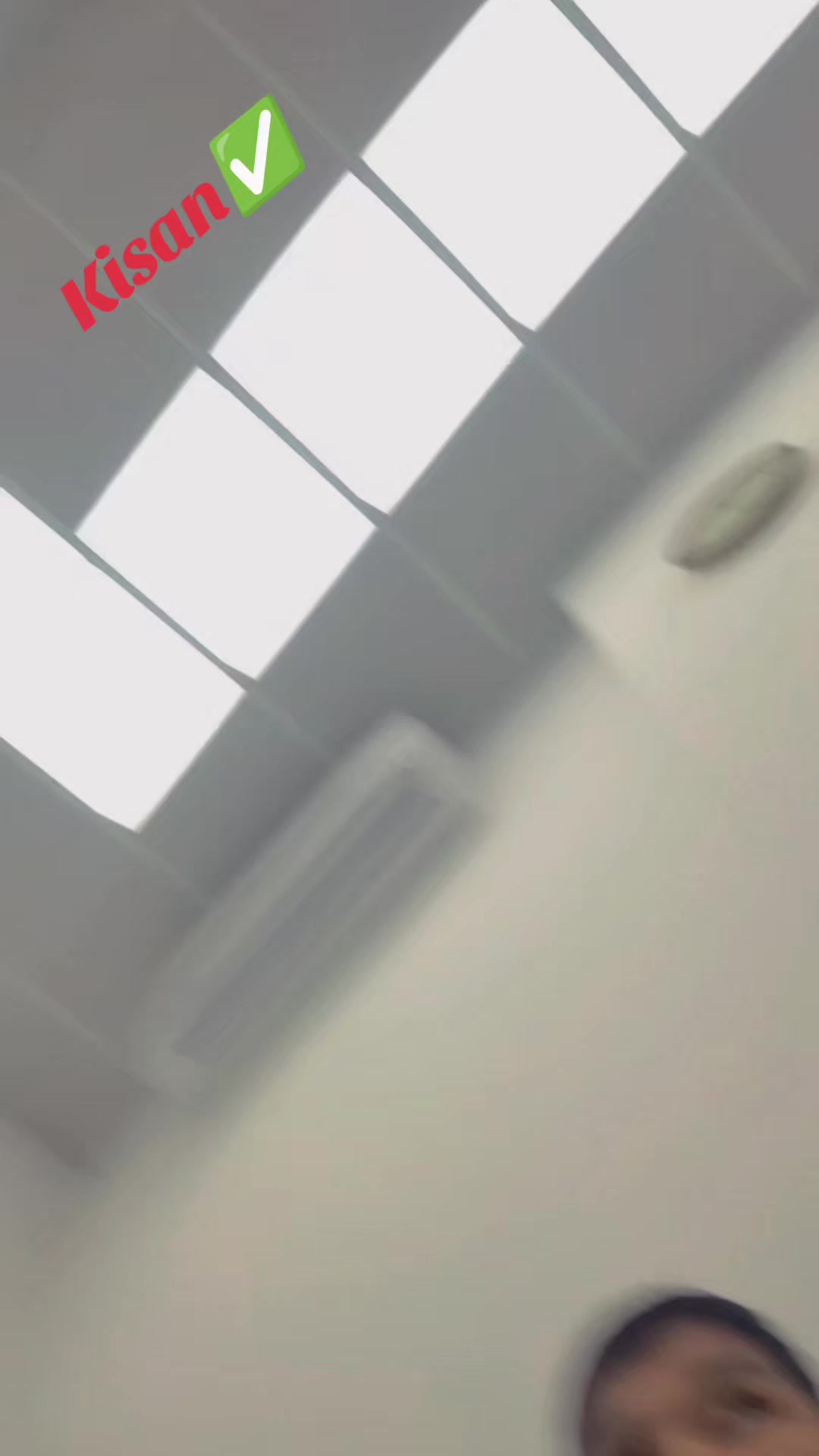 @🕊️
