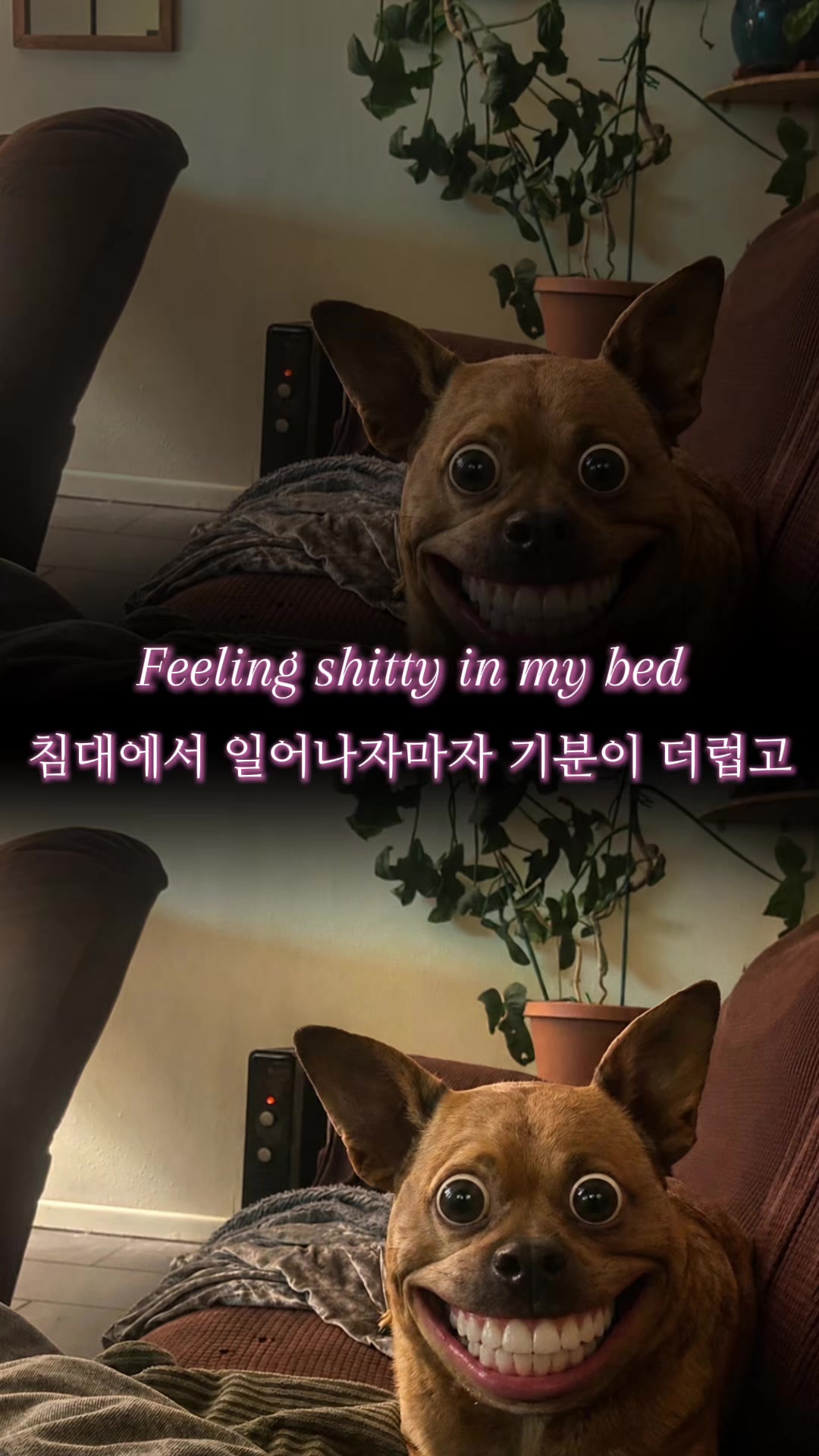 @Chewy Drendel