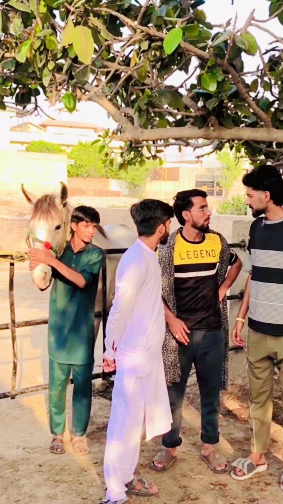 @Vella bhai Gang🦅