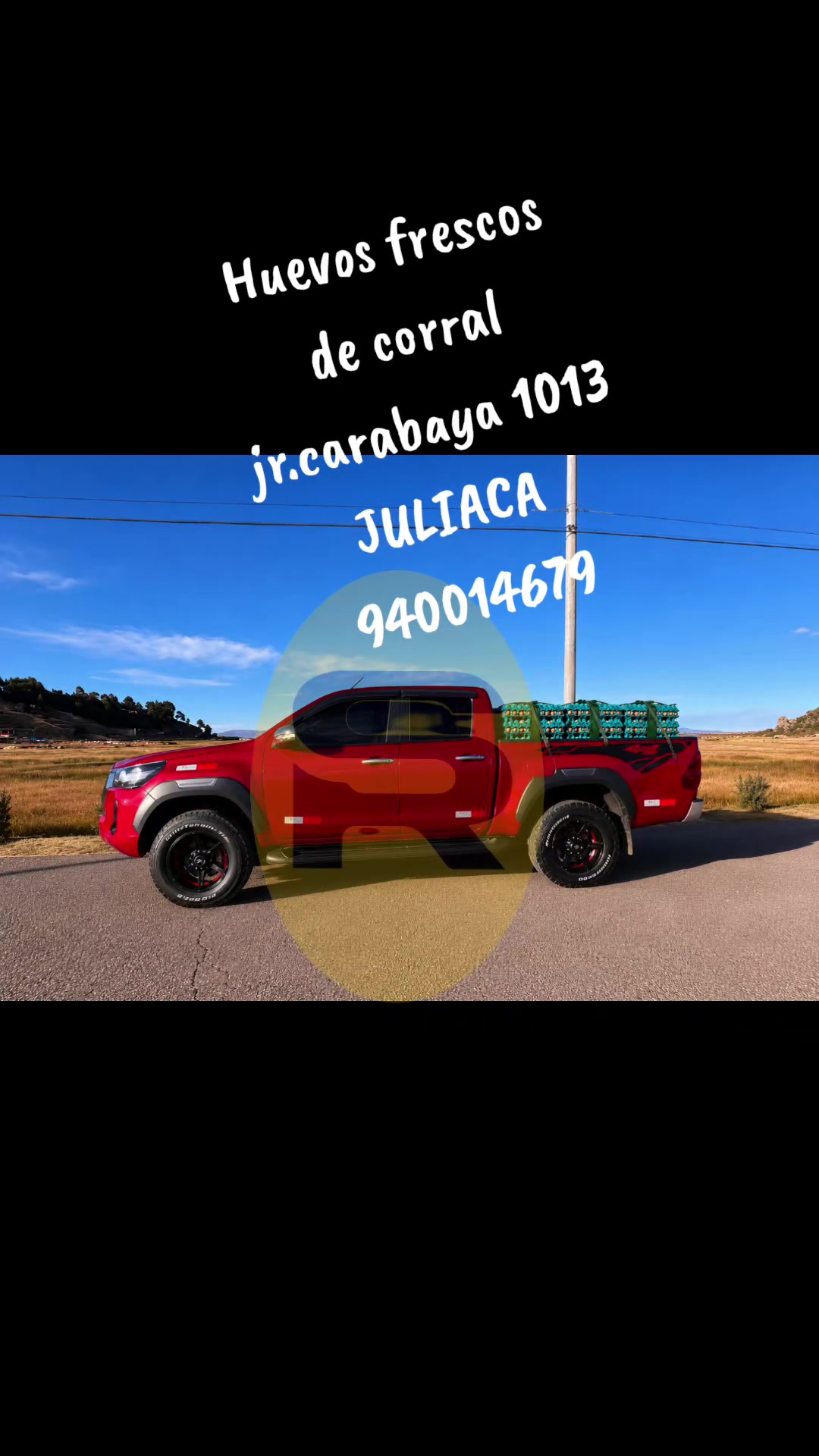 @HUEVOS DE CORRAL JULIACA