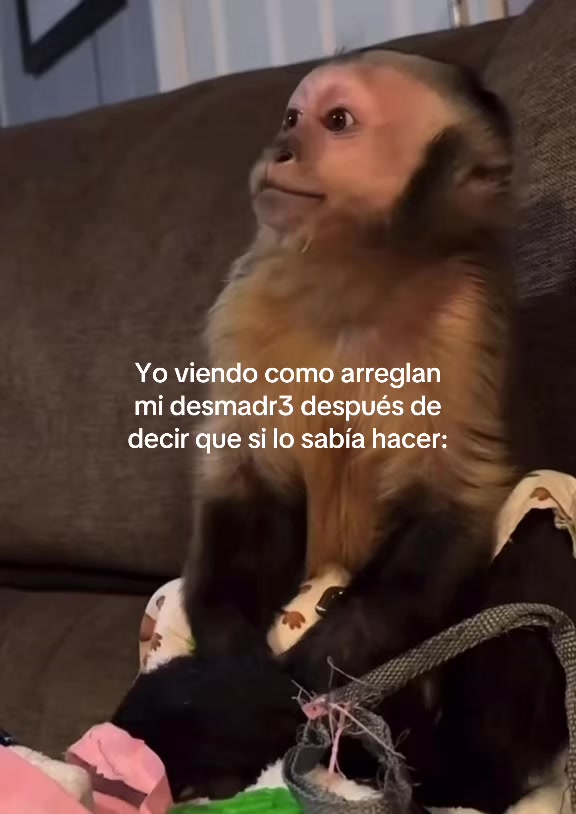 @Vidal