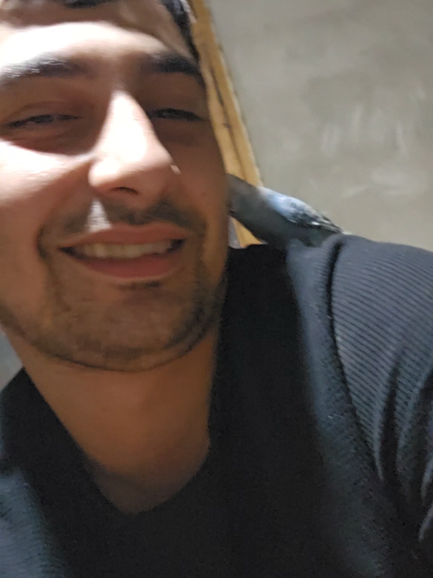 @Ali Guliyev