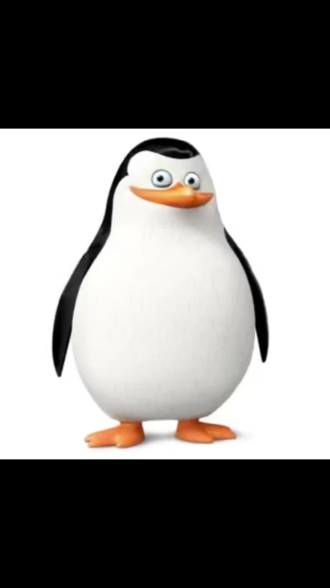 @pandastickerr