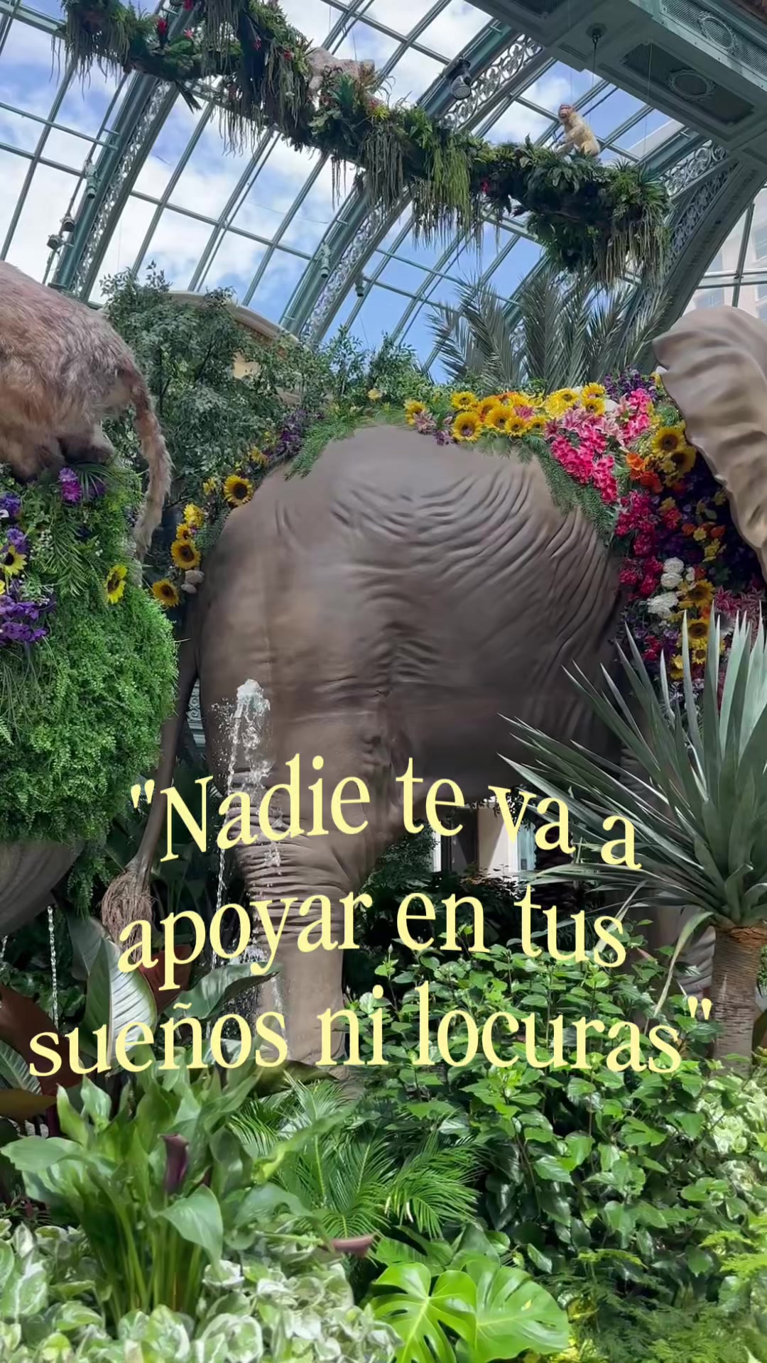@E$m&euro;r@ld@