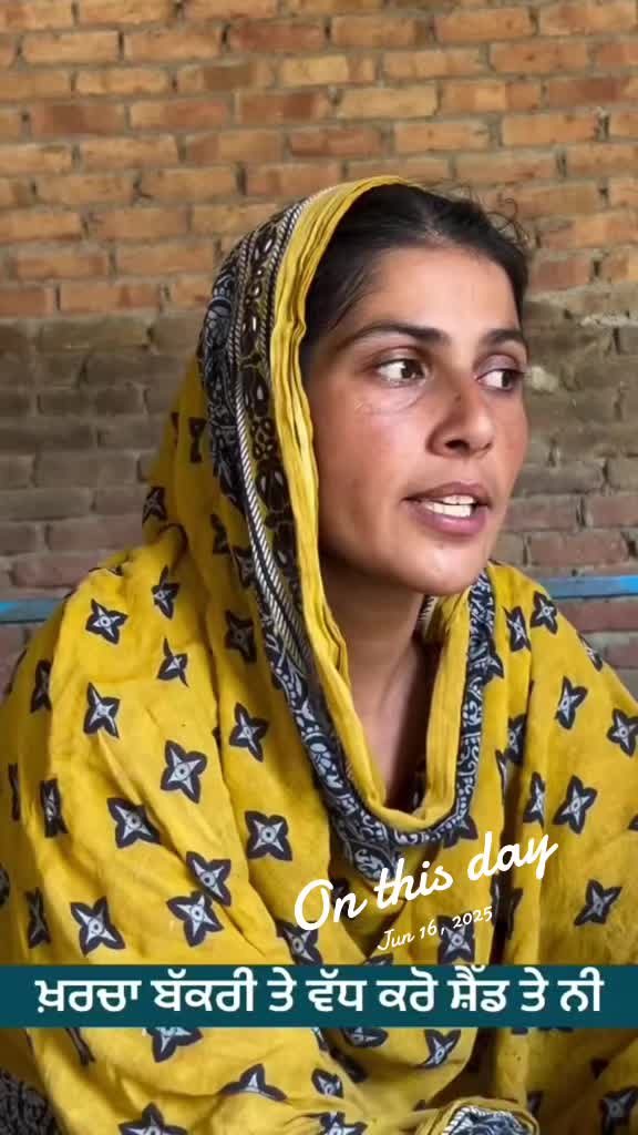 @Punjab Dy Rung