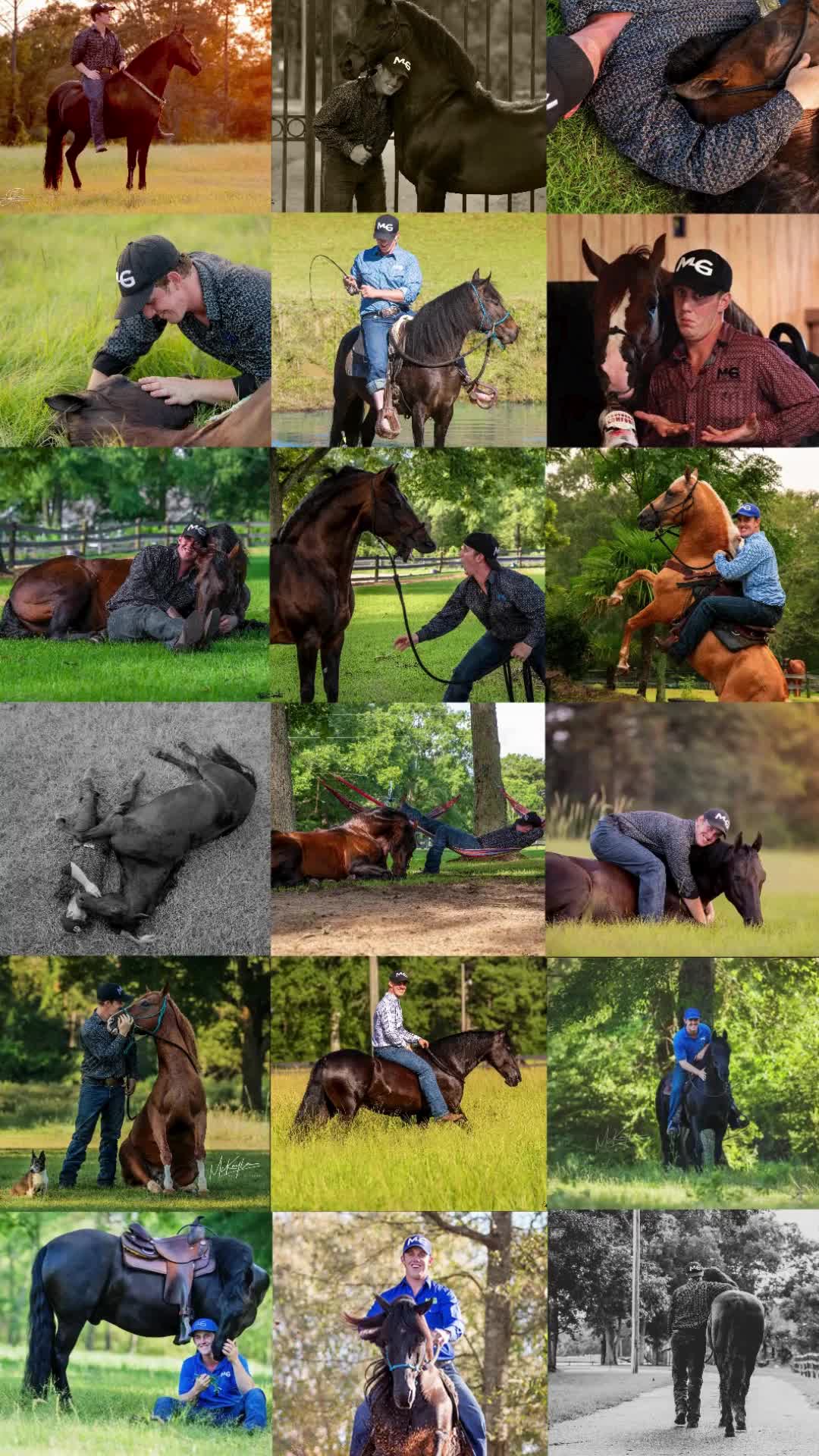 @Horse Help