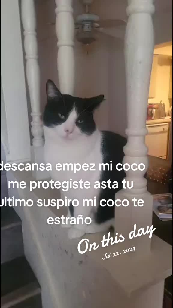 @teresita