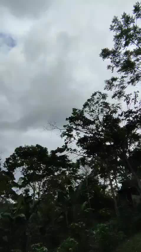 @Fabricio Martinez Pe