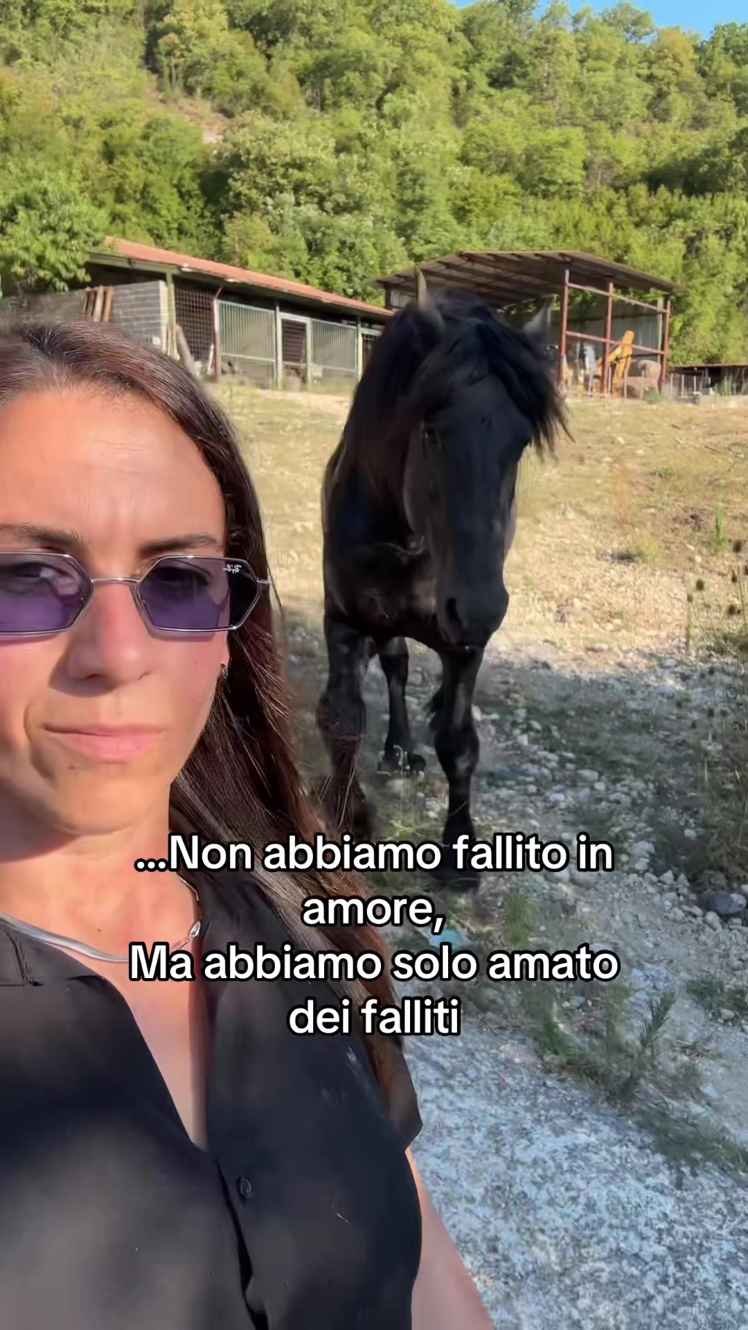 @black_the_friesian