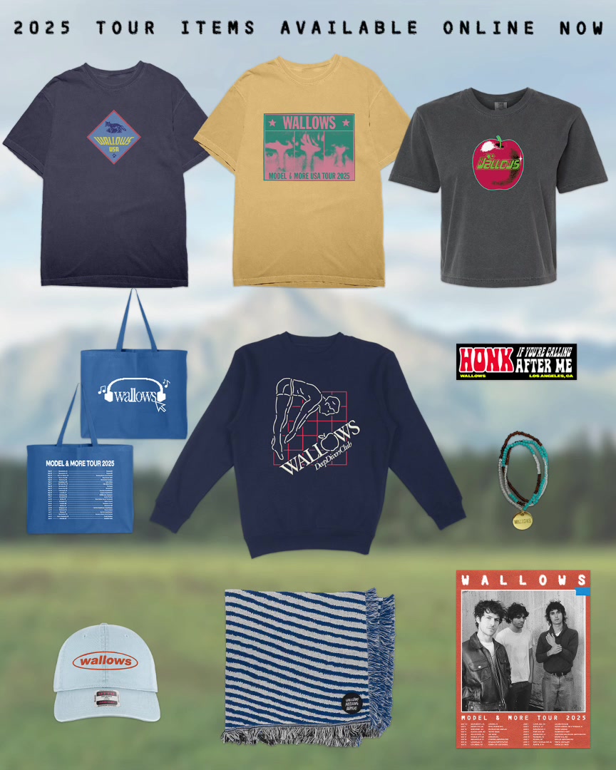 @Wallows Info