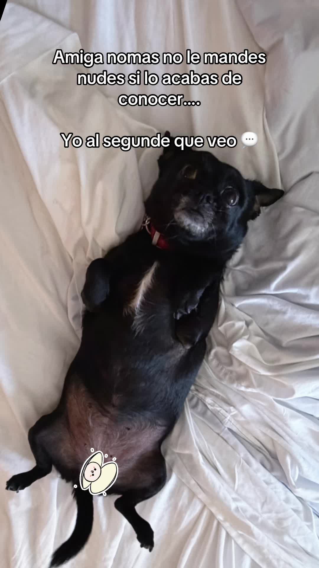 @chavelady