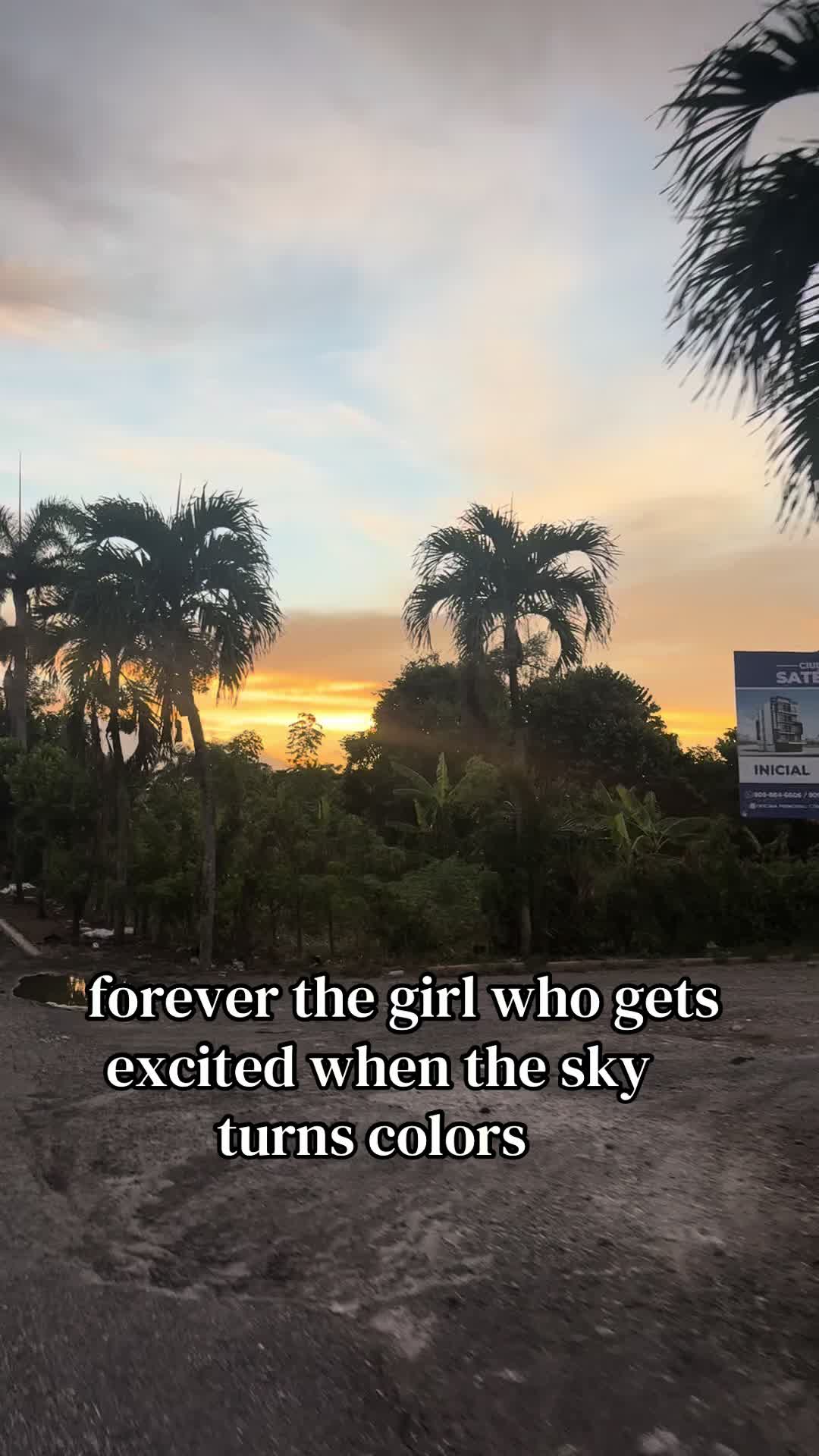 @Ari 🦋