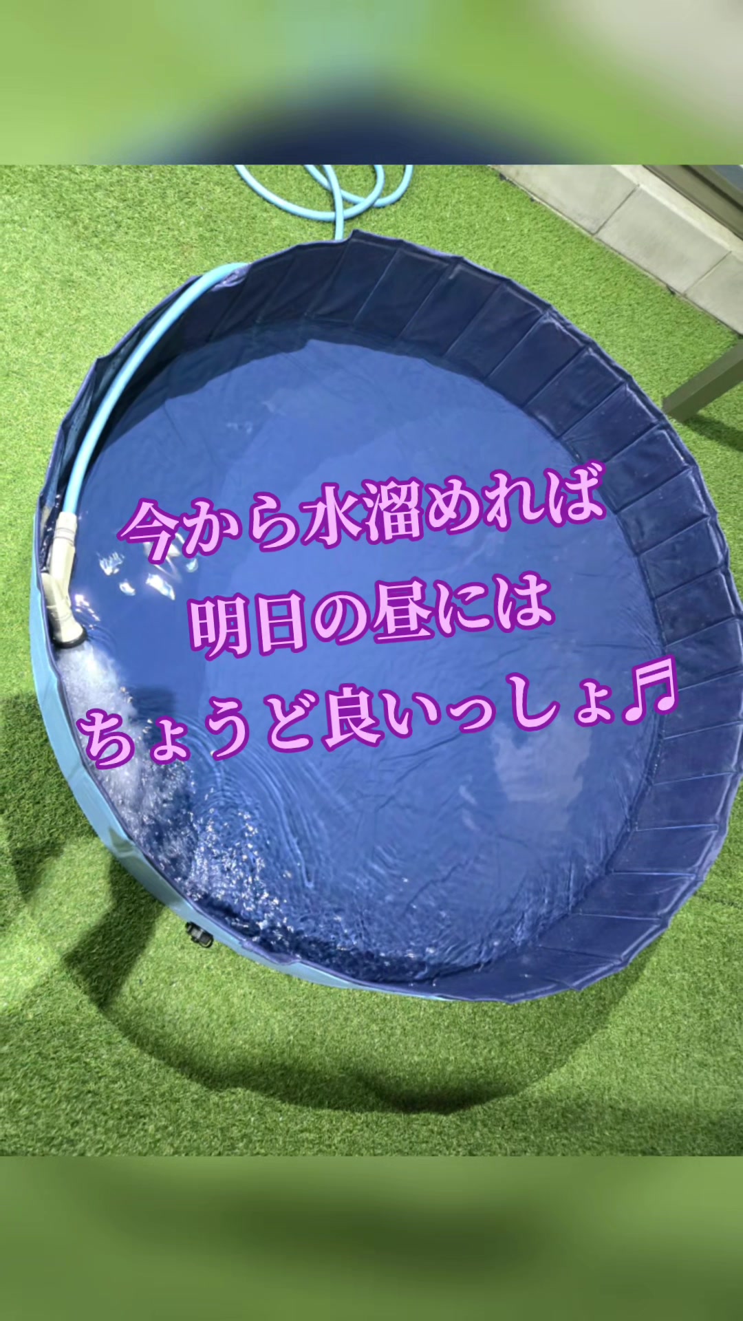 @ðããã¢ð