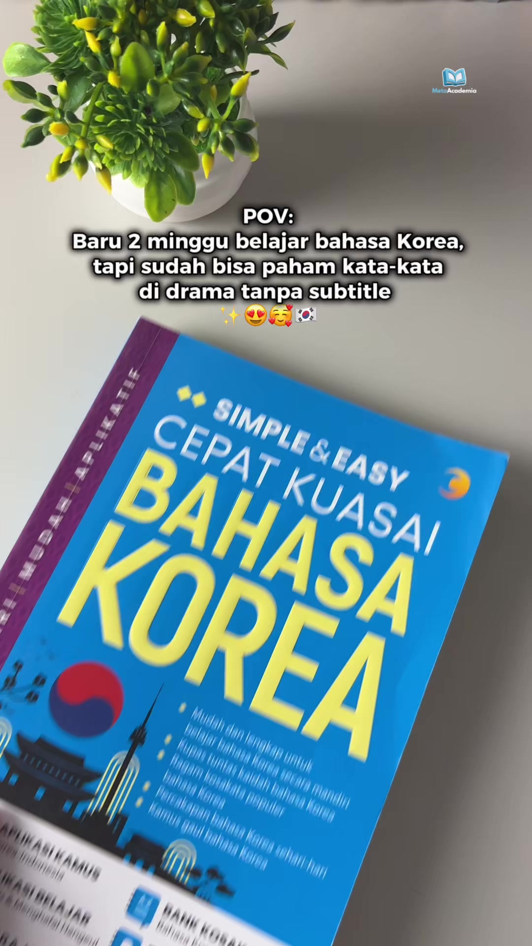 @Meta Academia