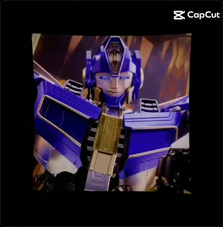 @✨Vicky_Transformers✨