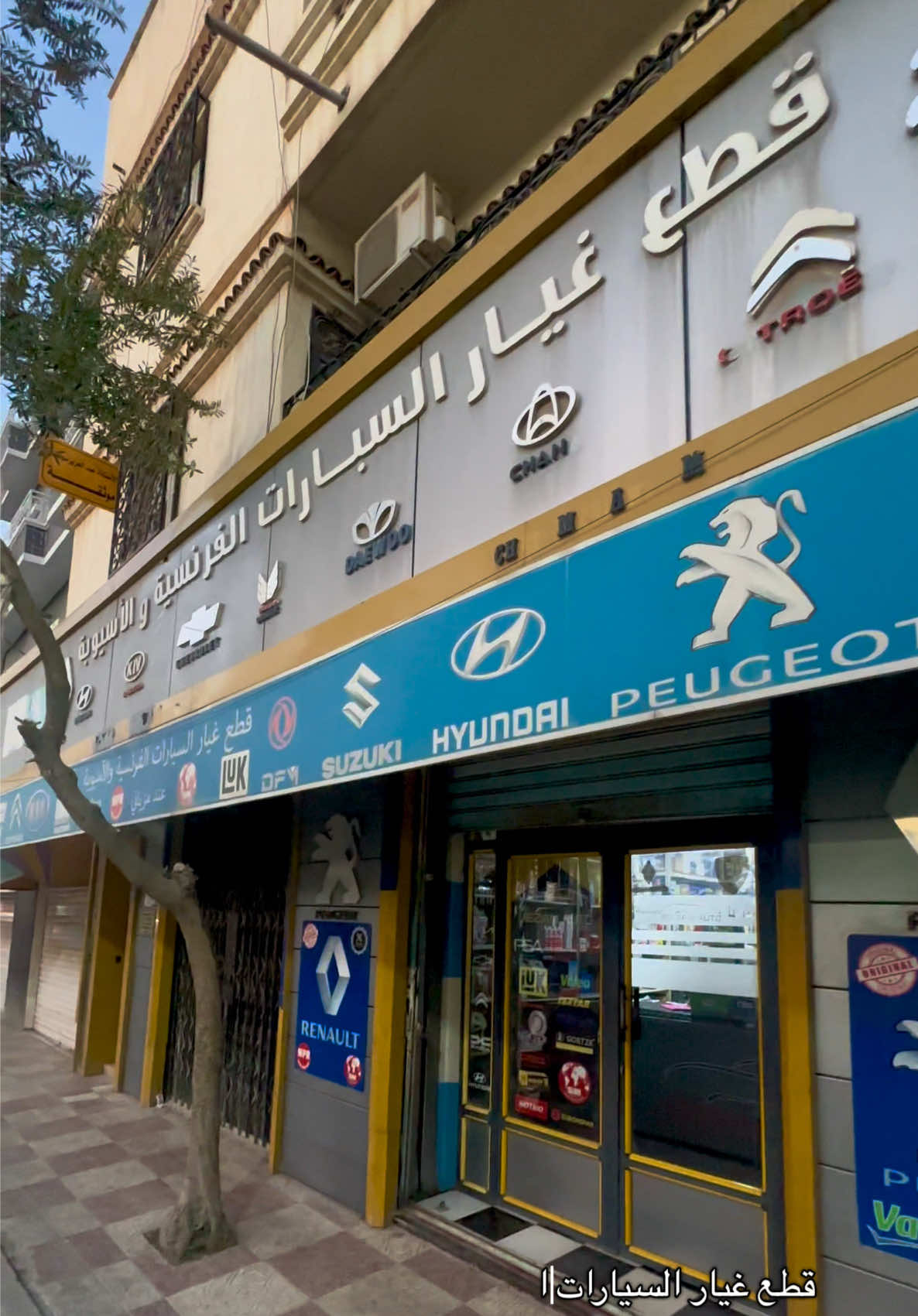 @Meziani auto