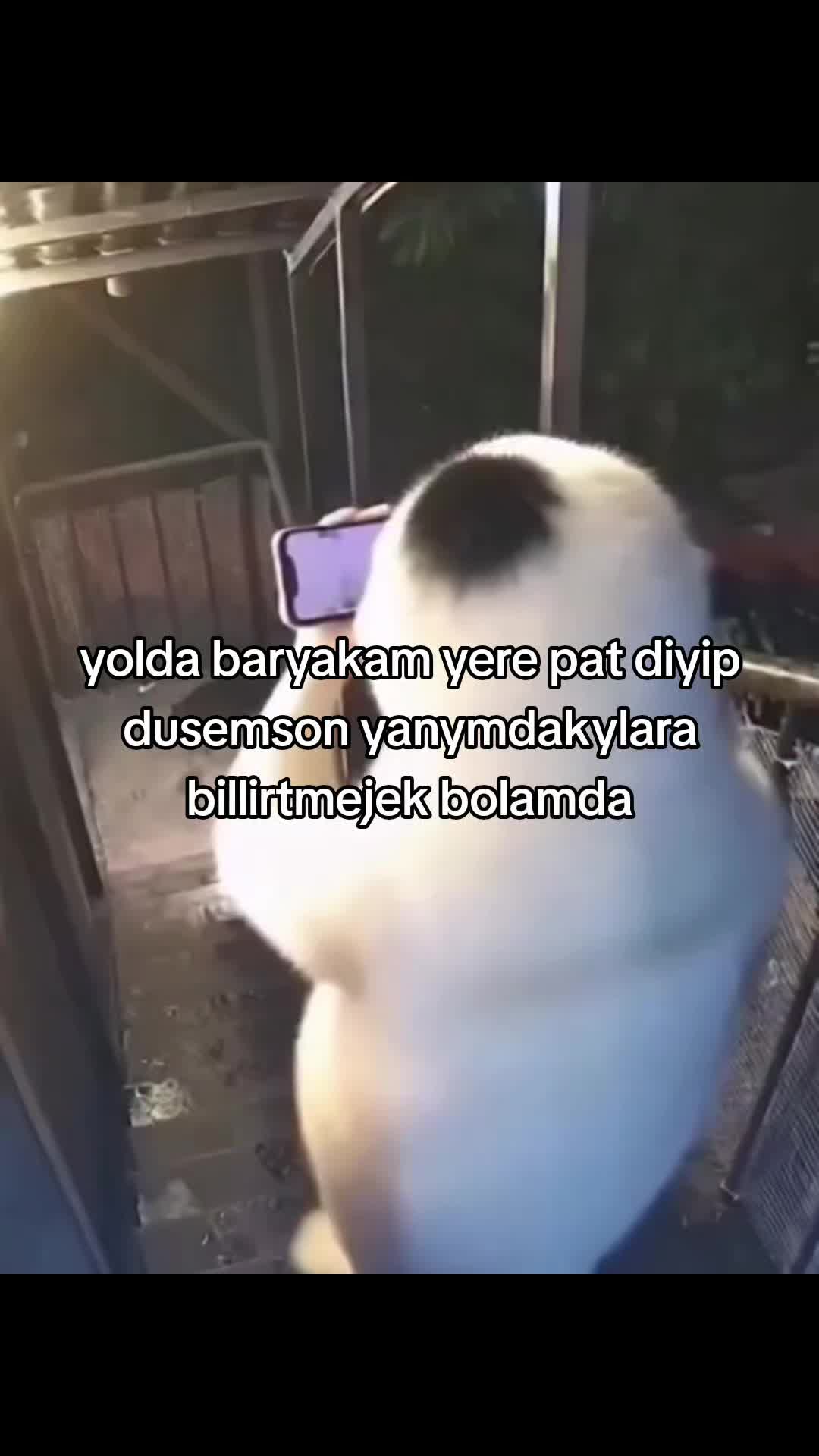 @๐บ๐๐๐๐๐_๐ธ๏ธ