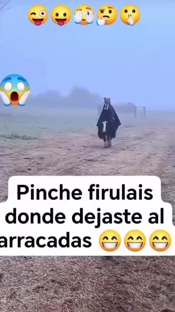 @simonperea7