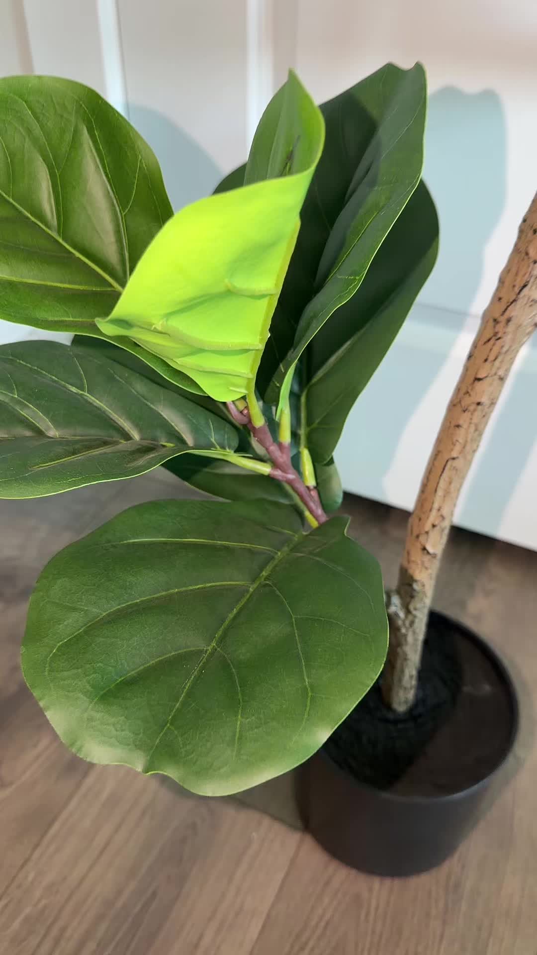 @Gudiyarani 🇺🇸🇳🇵🧿