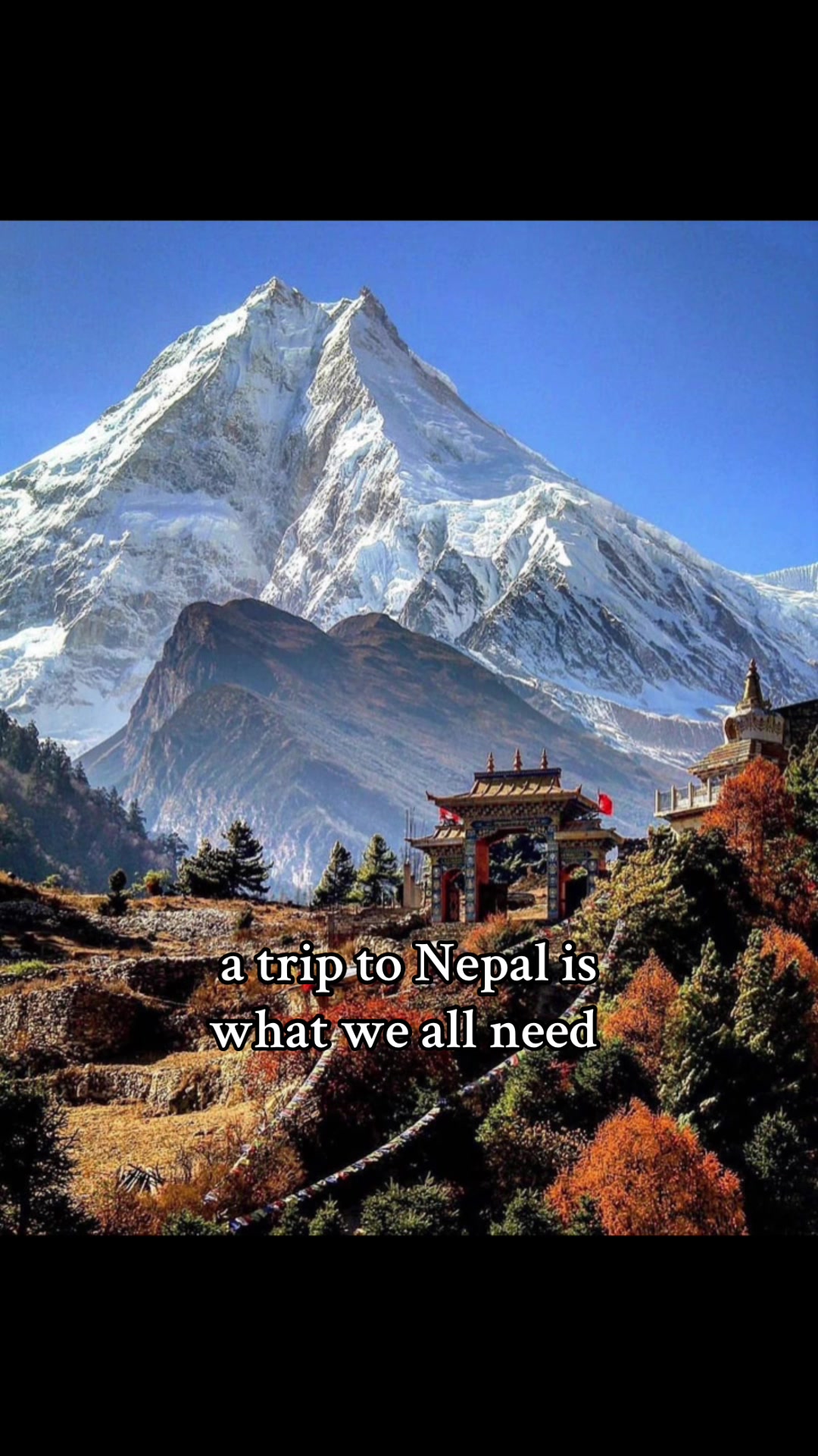 @nepal_4lifee