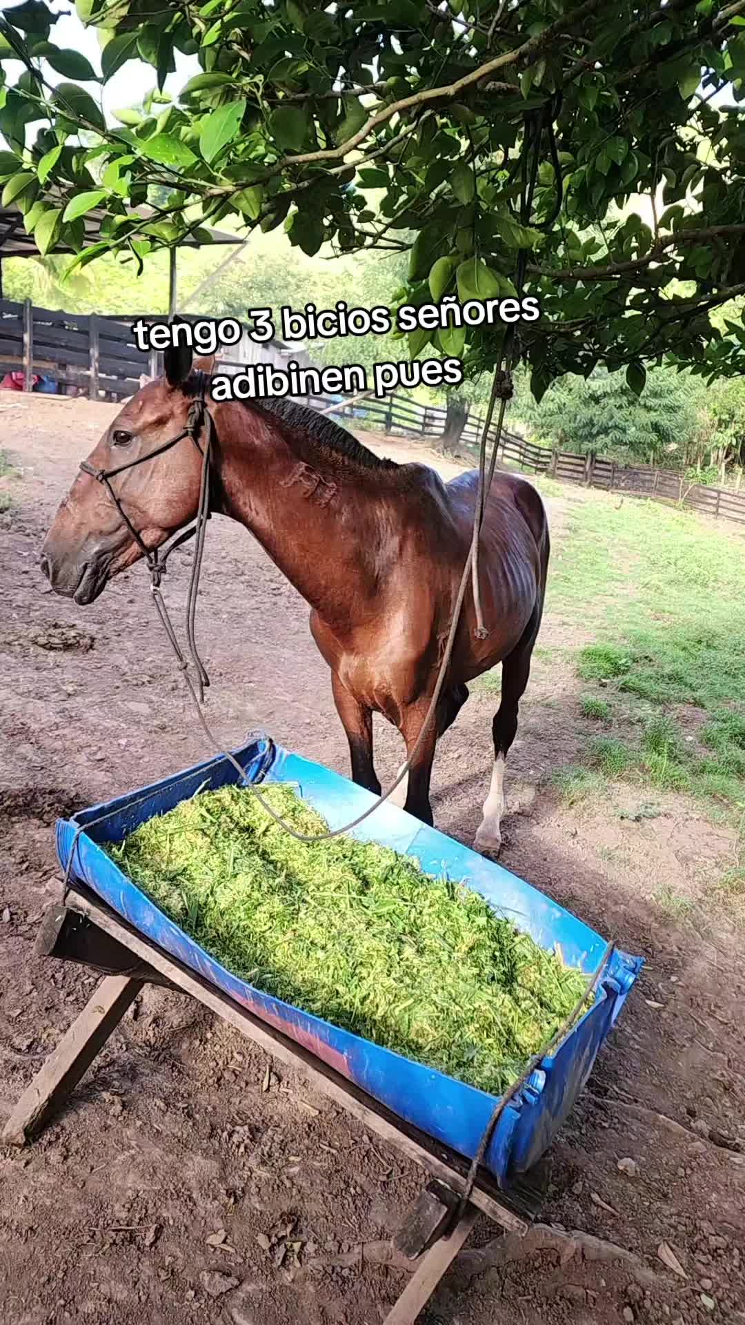 @💙💙chacadeNicaragua 💙💙?
