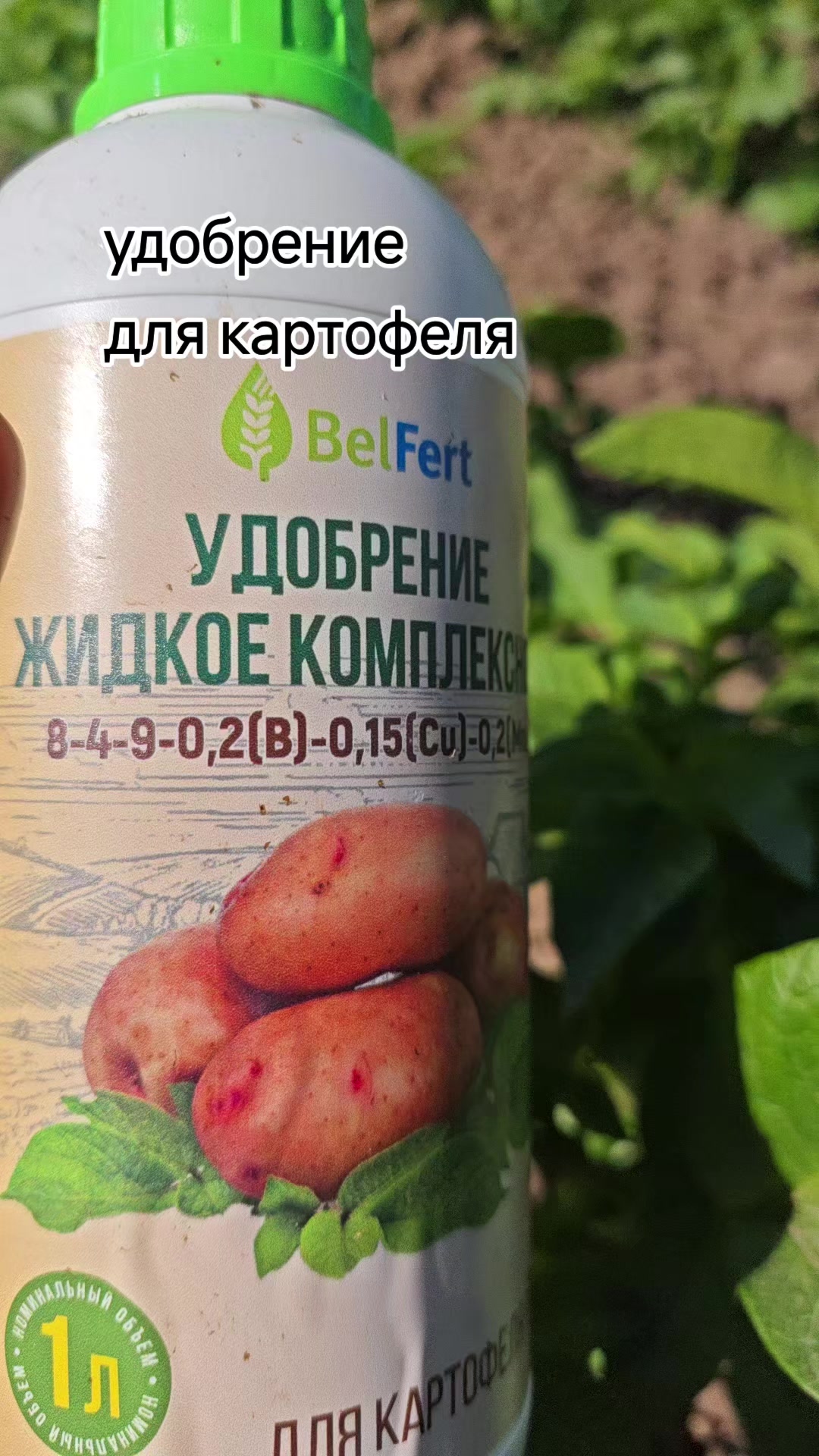@Картофель Могилёв