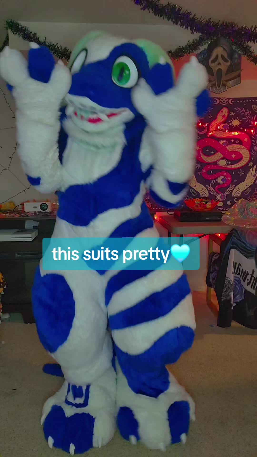 @NSC'25 🔜 Spooktacufur