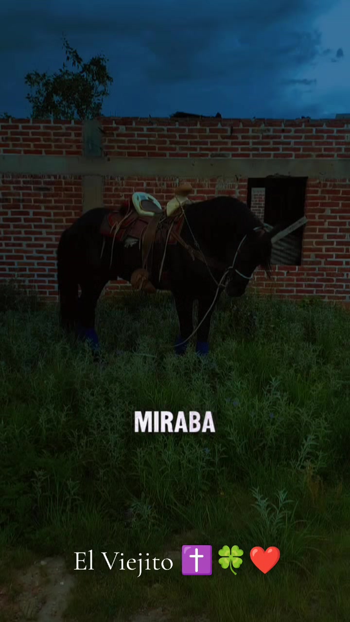 @Viejito Cordova✝️🍀❤️🐎🦅