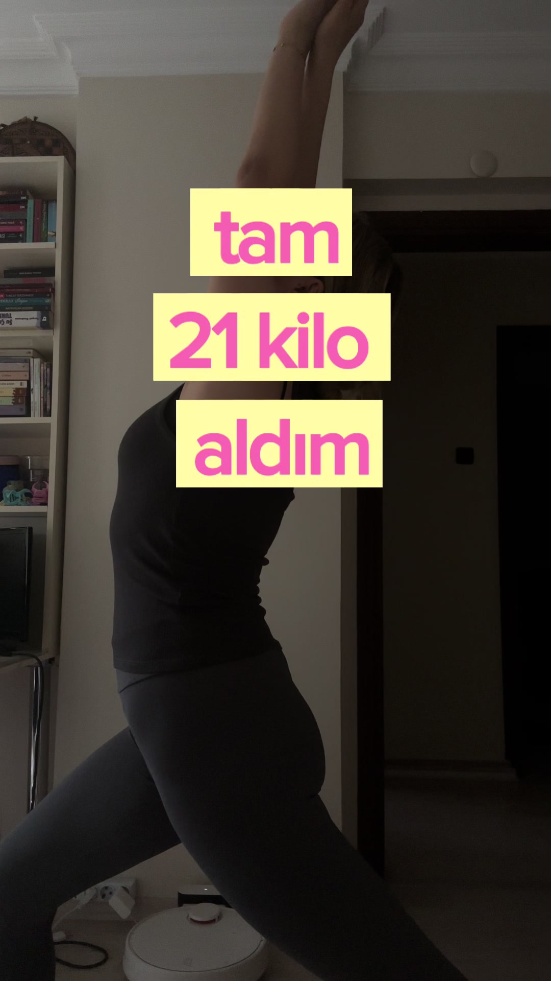 @Ceyda Vardal