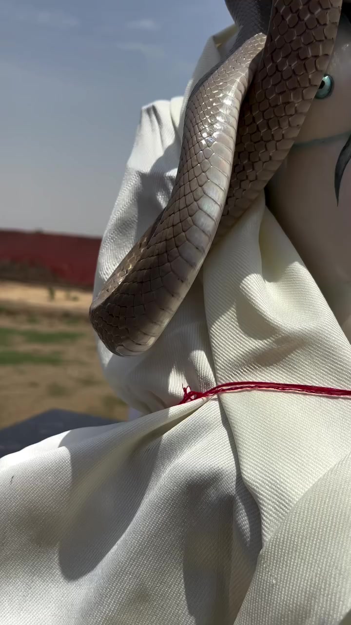 @ramoothakur18
