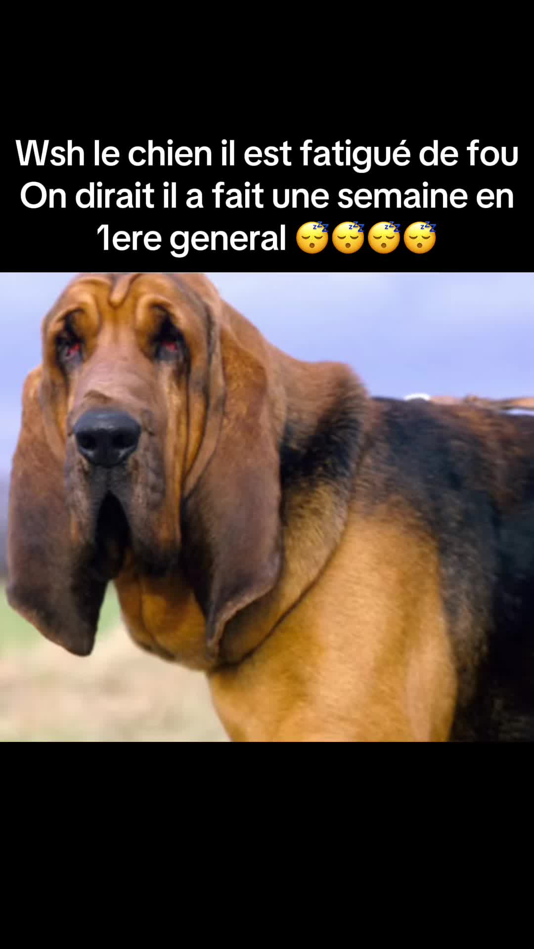 @OeLeSinge