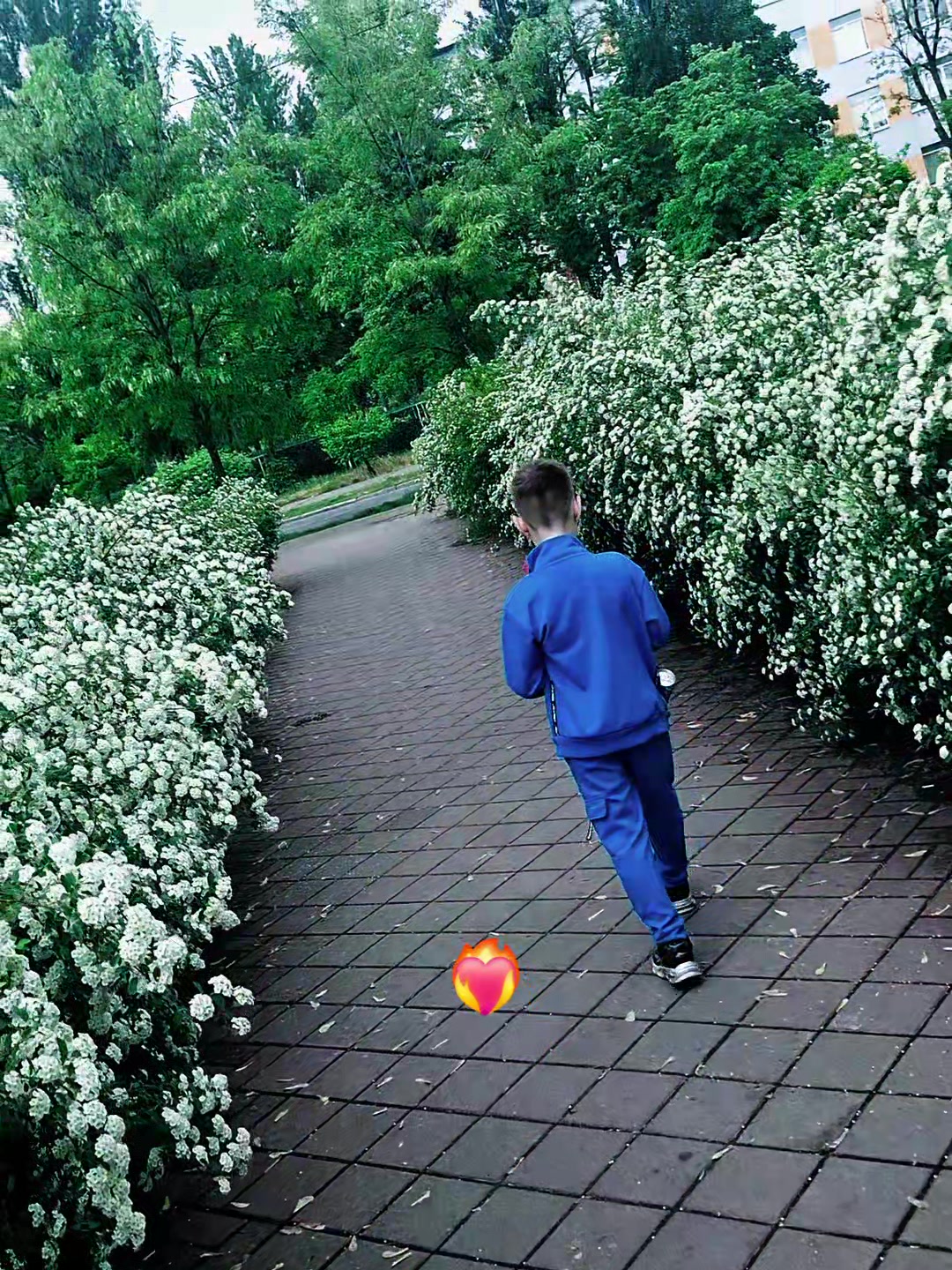 @ПсиХіатР АнаНасіВ ГраНата