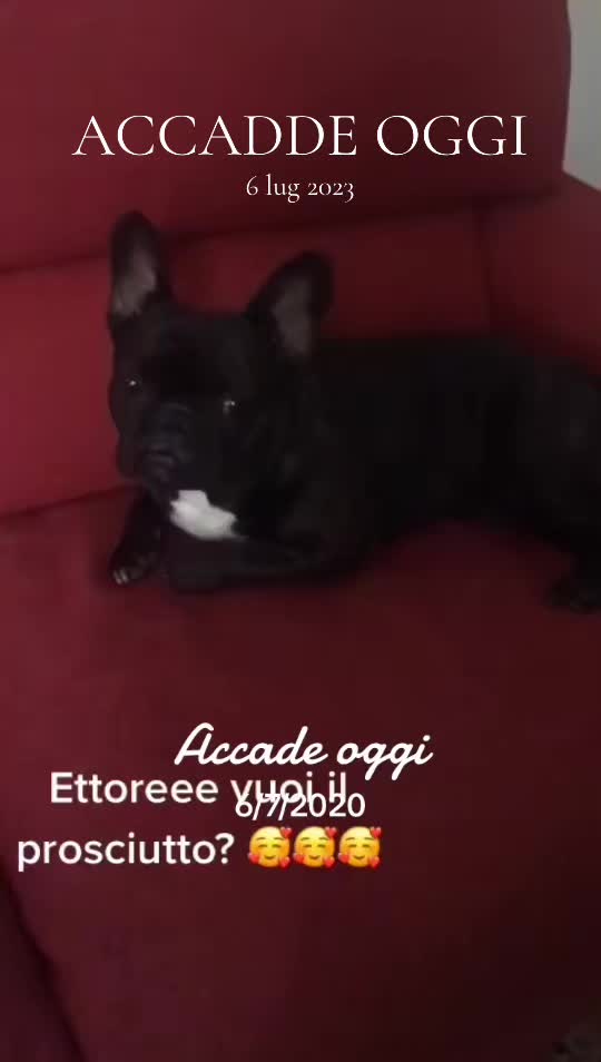 @Apolide
