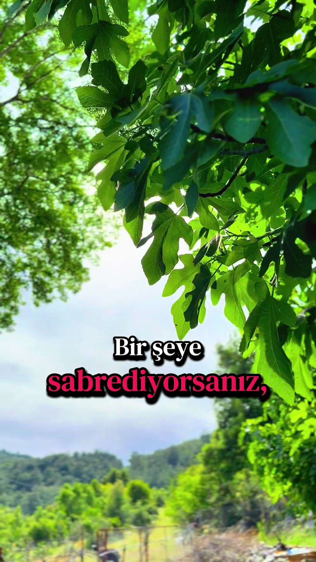 @Droneçekimigebze