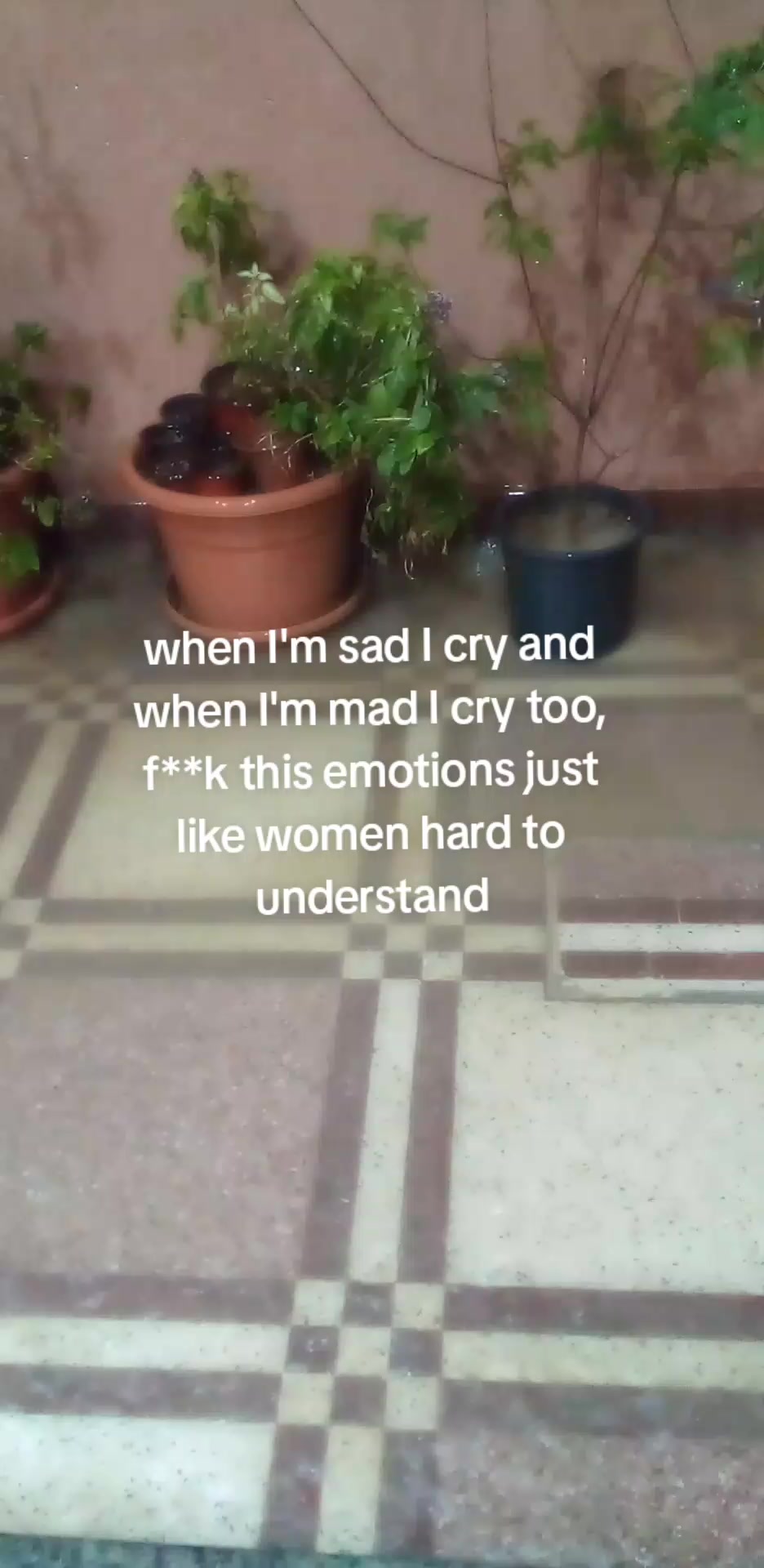 @meow