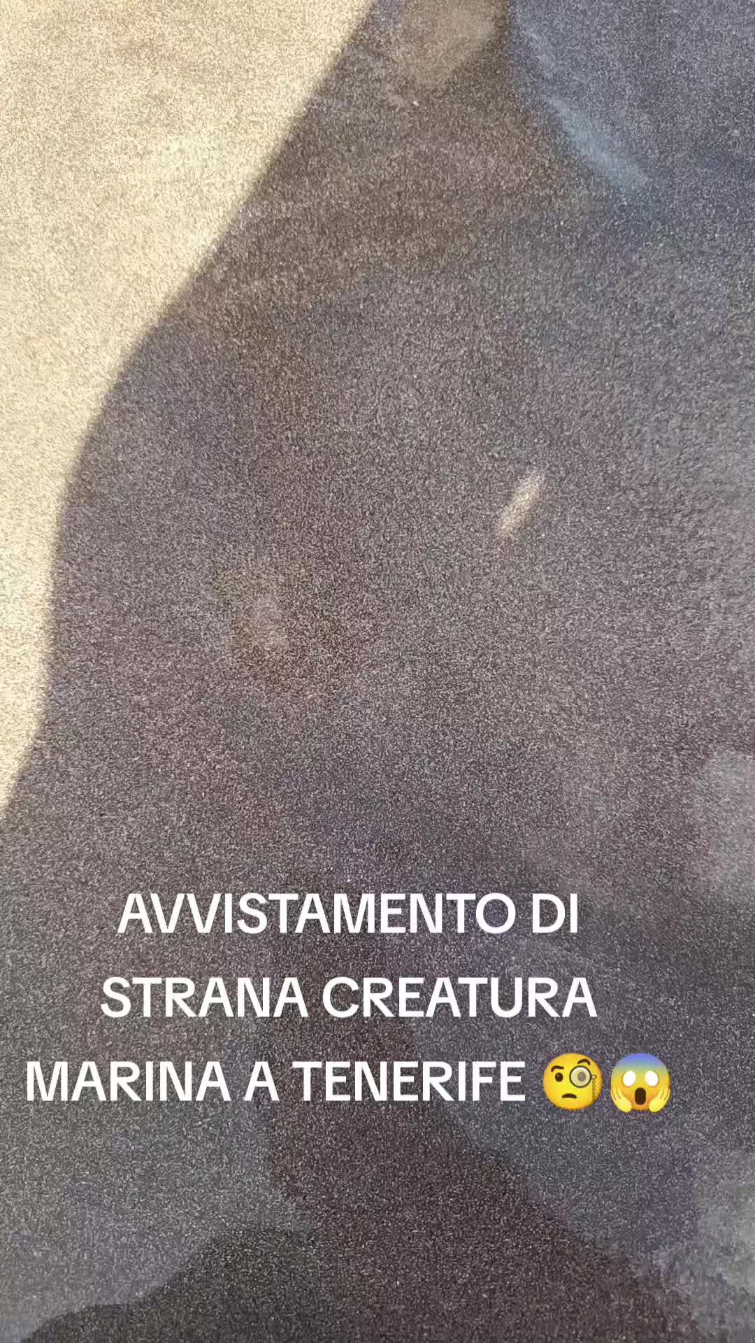 @ᴡʜɪᴛᴇ🤍ʙᴜᴛᴛᴇʀꜰʟʏ🦋ᴅɪꜱᴘɪʟʟᴏ🧷👠