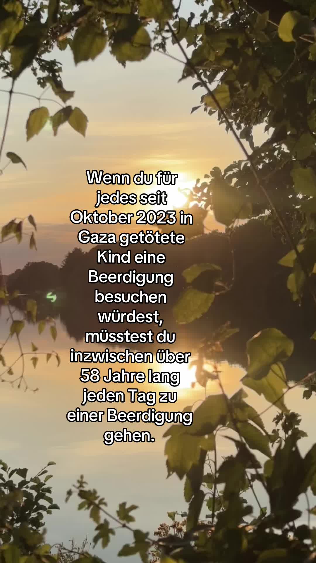 @🦋🪷🌿🌀❤️