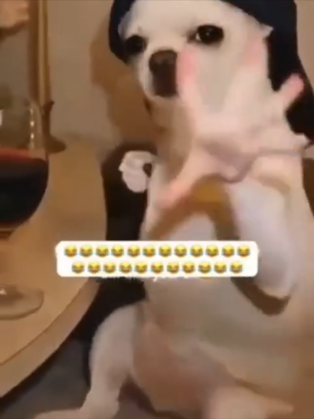 @FŲ&Ntilde;&Ntilde;&yen;&euro;X 🦂🕶️