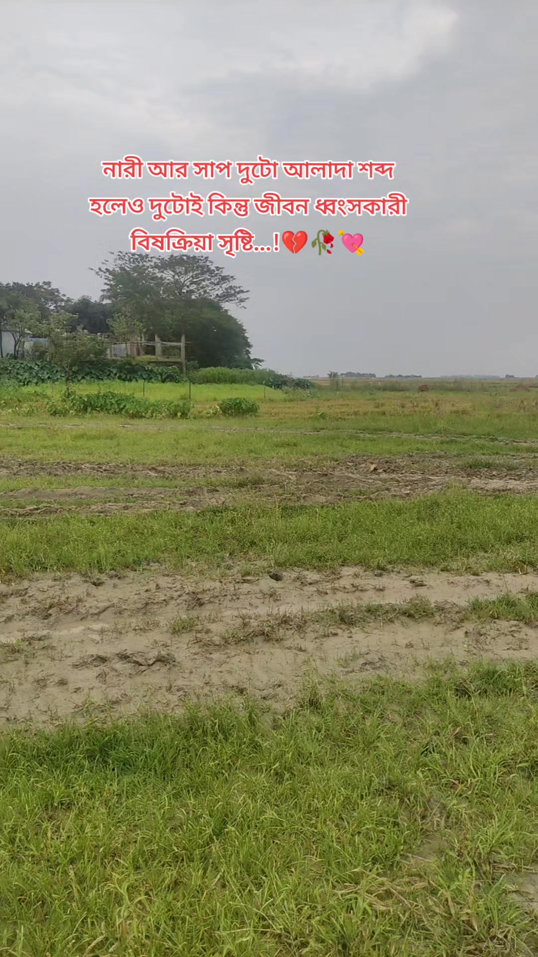 @ব্যর্থ কবি..!!👑