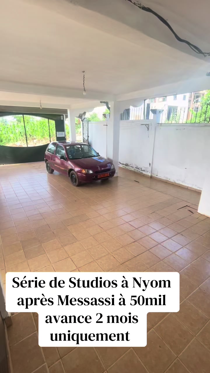 @DINO~IMMO~237🇨🇲🇨🇲
