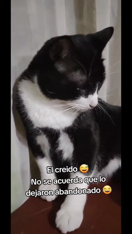 @𝕃𝕚𝕤𝕤 ℝ𝕖yes🇸🇻