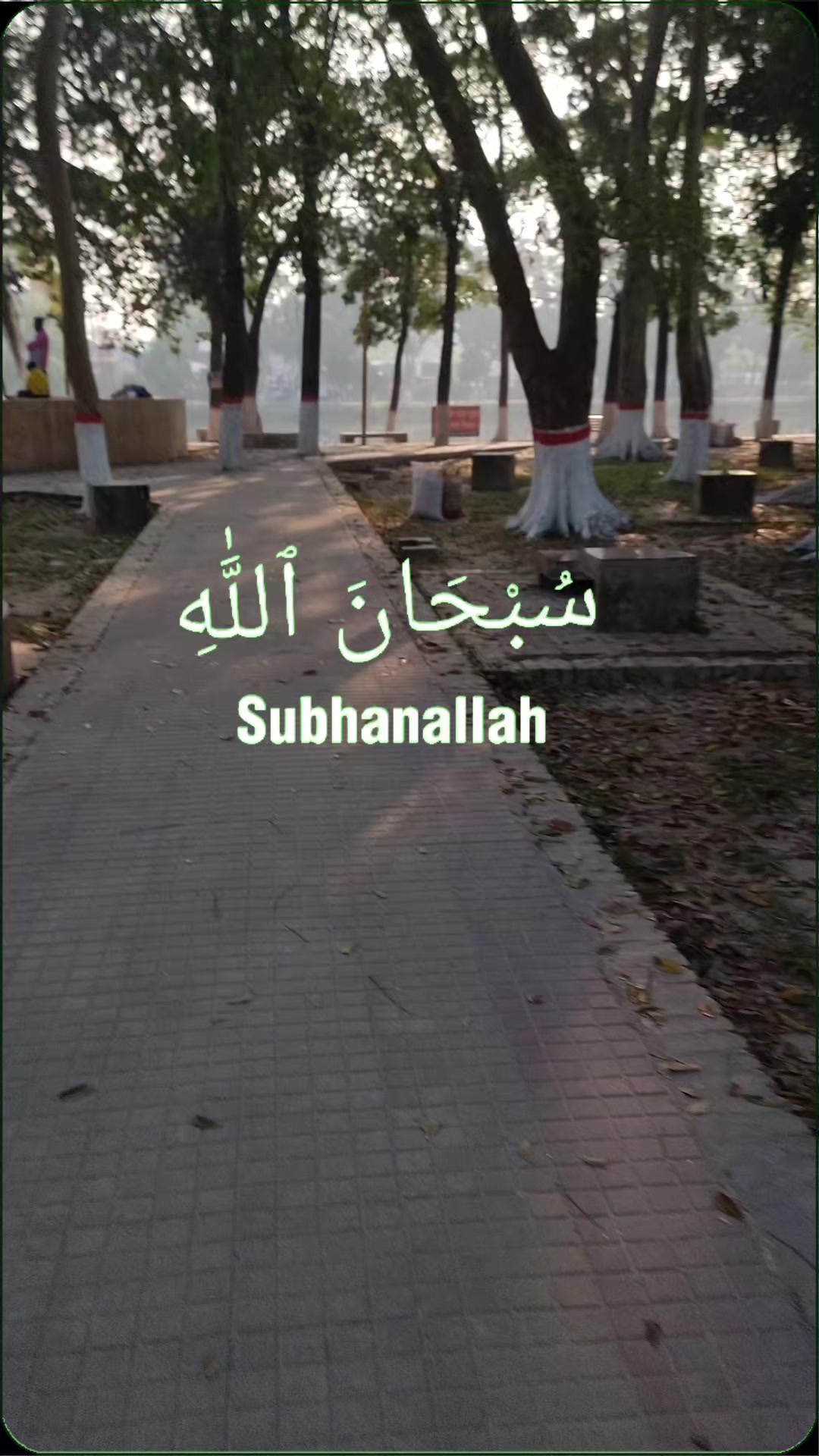 @ASIF