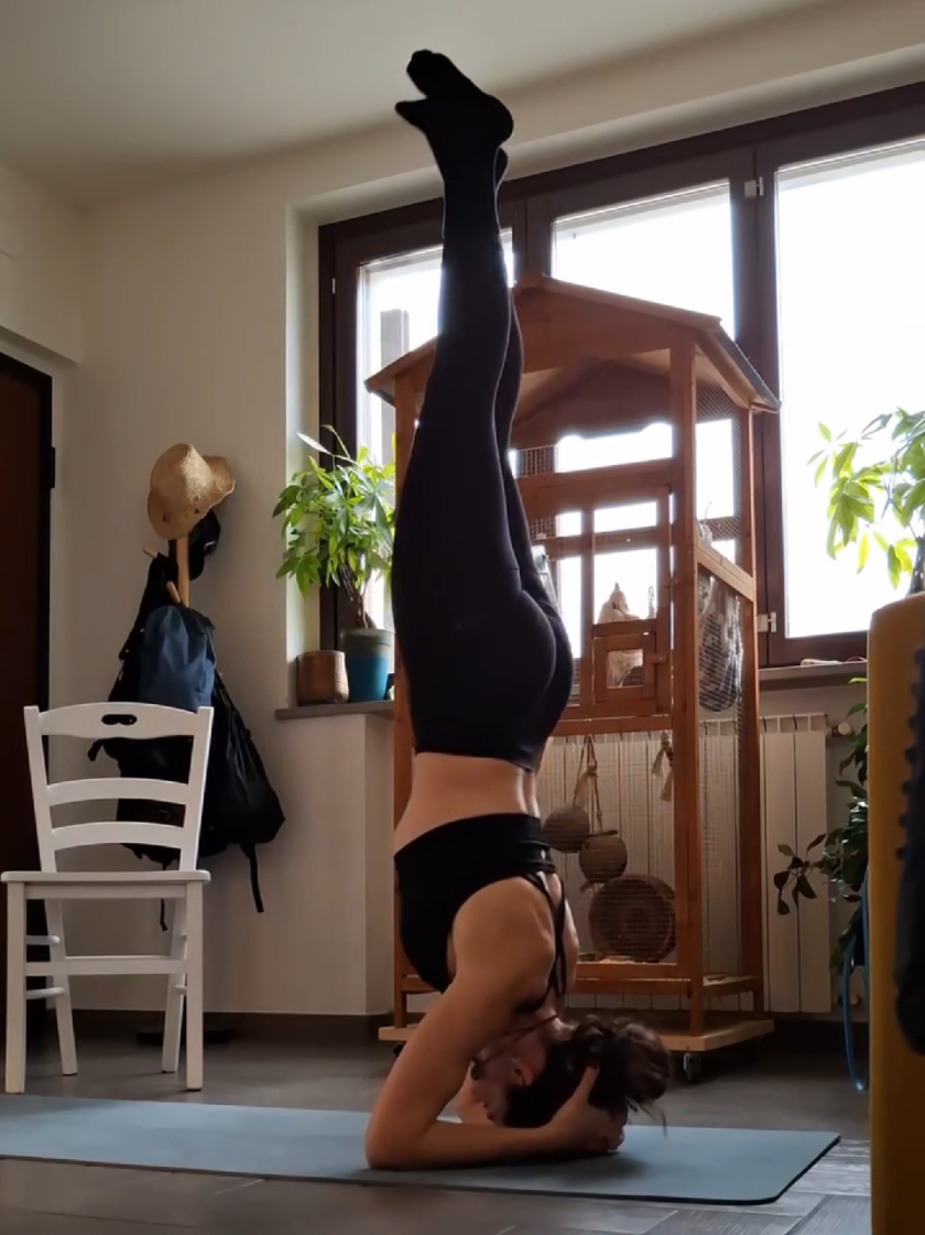 @Elfhriede
