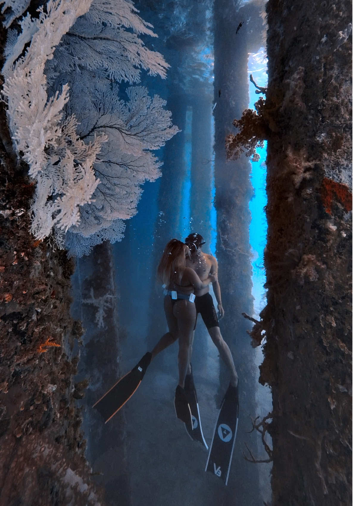 @@voltamazingfreediver
