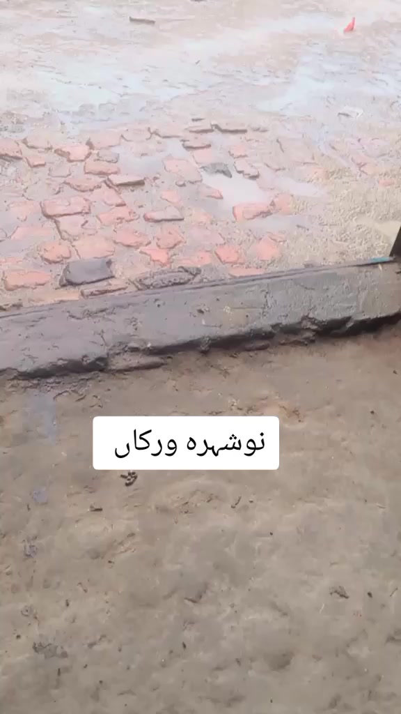 @SHAN ALI 7985