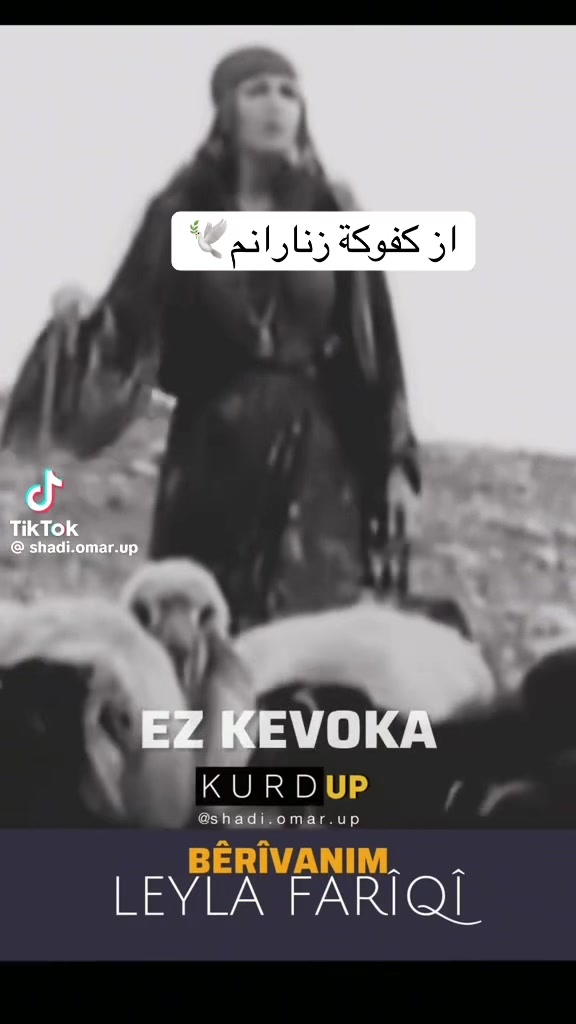 @كجا شنكالي🌾🦚