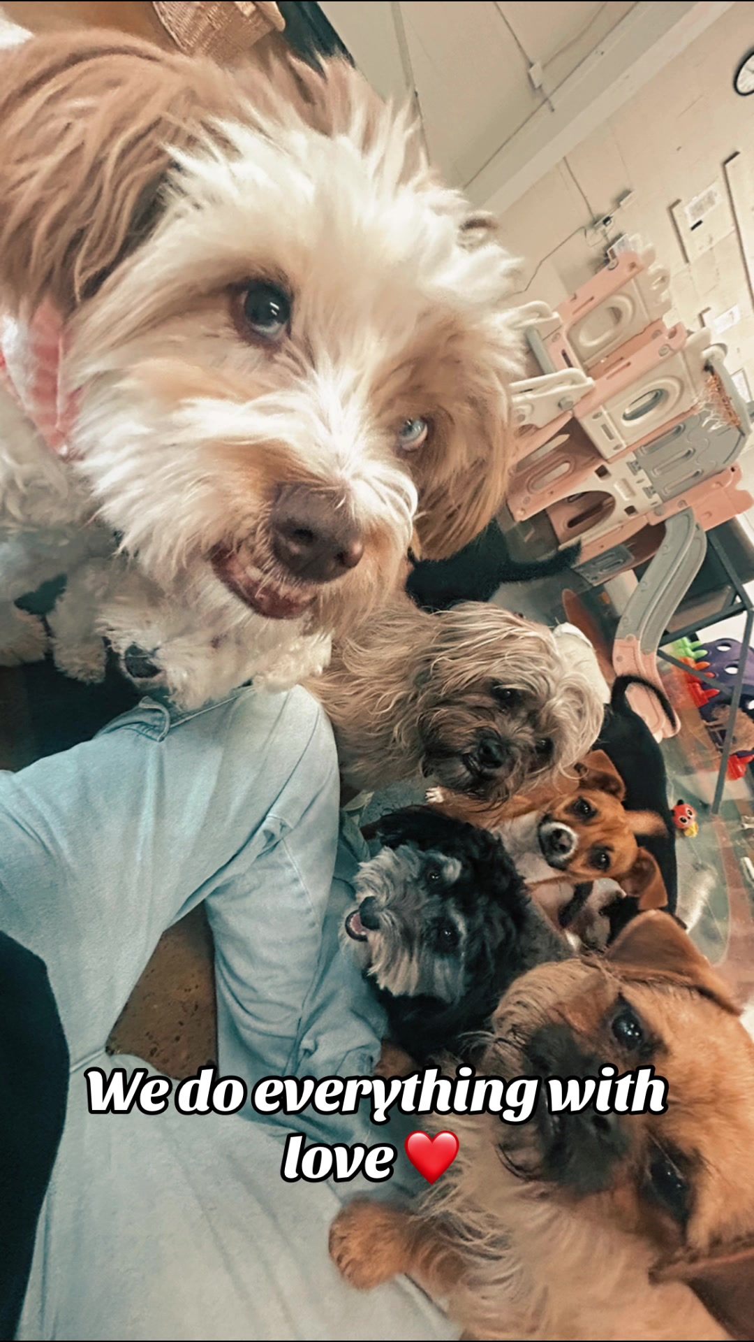 @Spaciocaninove